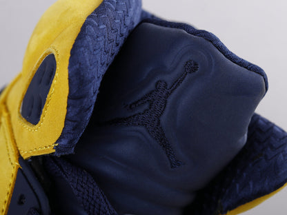 MO - AJ5 Michigan black and yellow